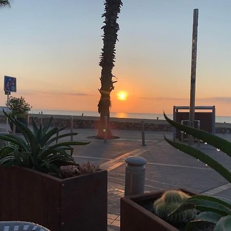 Suite 21 - Clim - Front De Mer Canet-en-Roussillon Ngoại thất bức ảnh