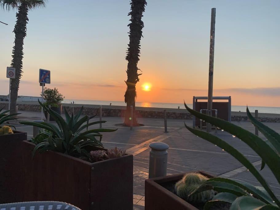 Suite 21 - Clim - Front De Mer Canet-en-Roussillon Ngoại thất bức ảnh